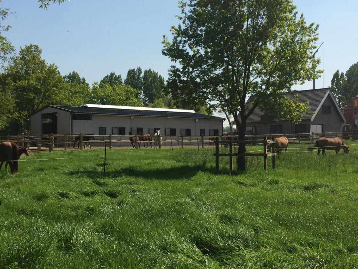 Vakantiehuisje 'T Morehof Oosterzele Luaran gambar